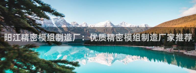 彩神大发官网：阳江精密模组制造厂：优质精密模组制造厂家推荐